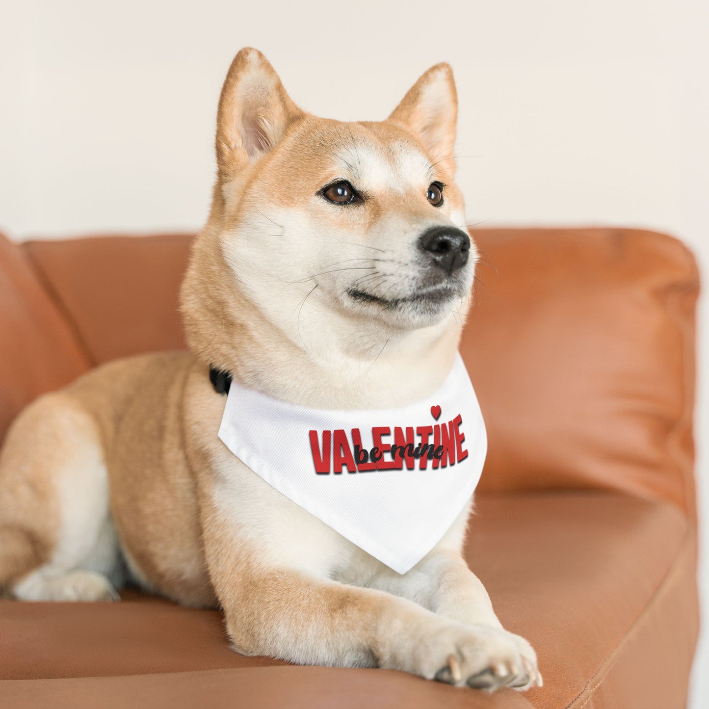 Pet Bandana Collar - Valentine, Be Mine