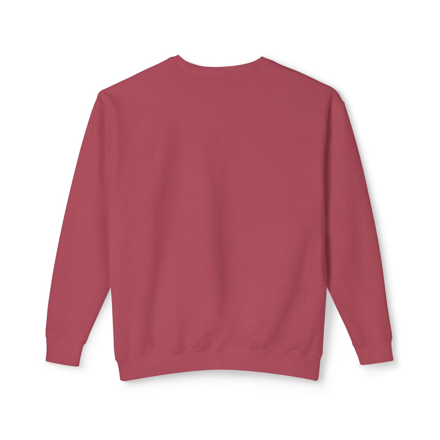 Unisex Sweatshirt features a quote, "Detroit Lions, It's Fun to Win"