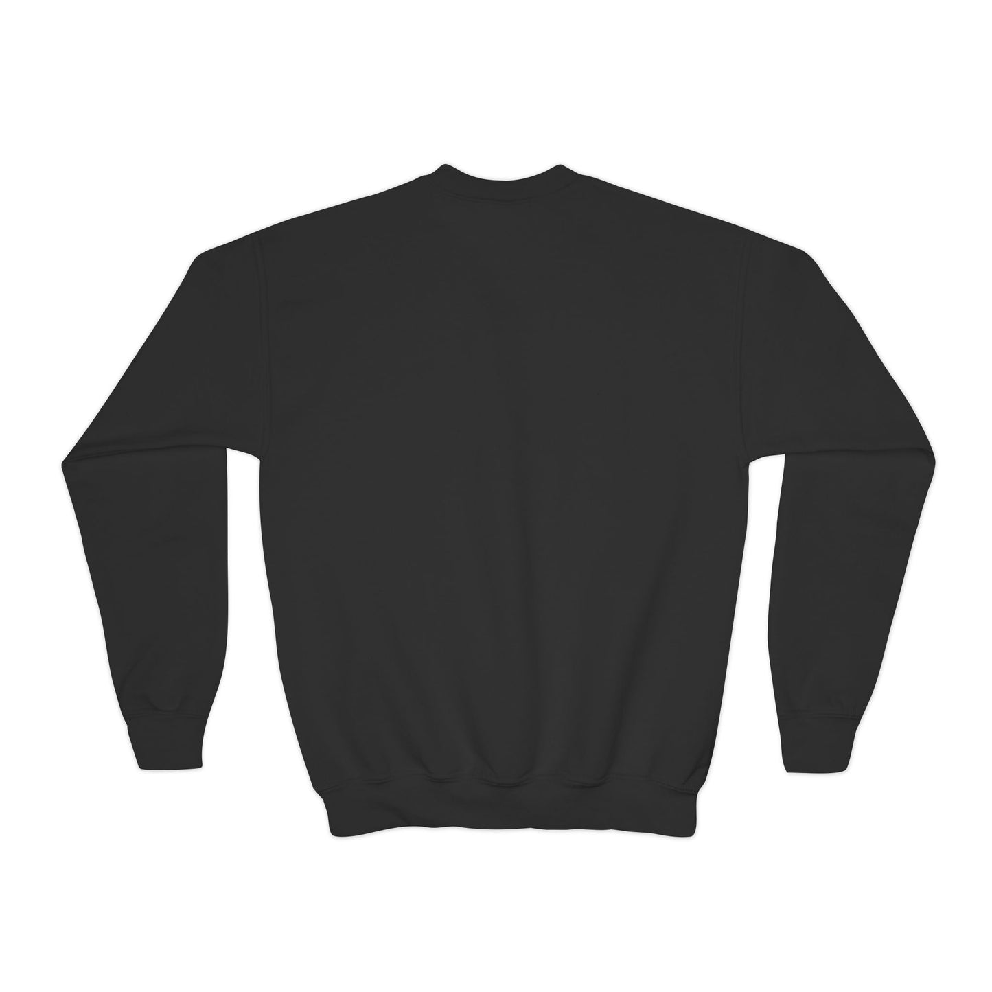 Dinosaurs & Monster Trucks Are the Coolest Youth Crewneck Sweatshirt