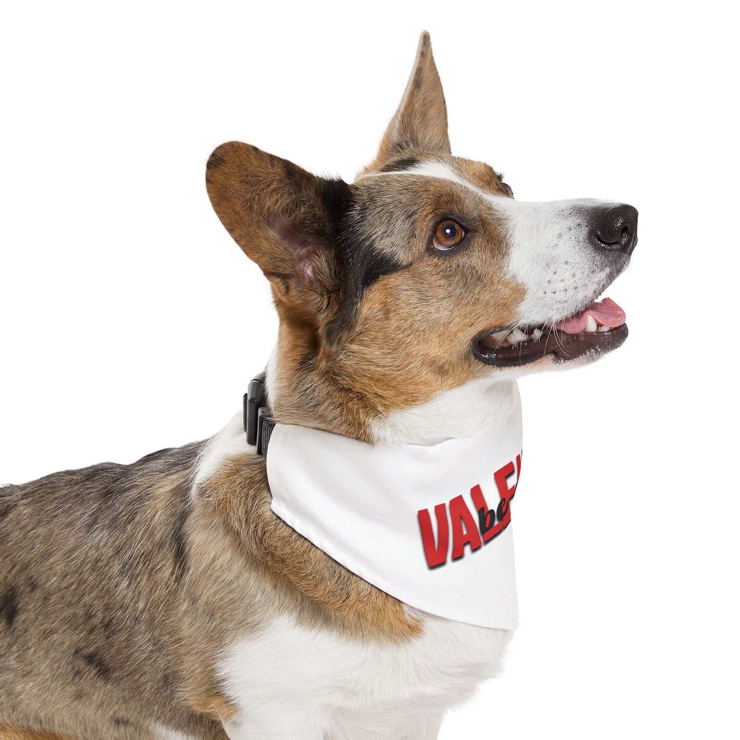 Pet Bandana Collar - Valentine, Be Mine