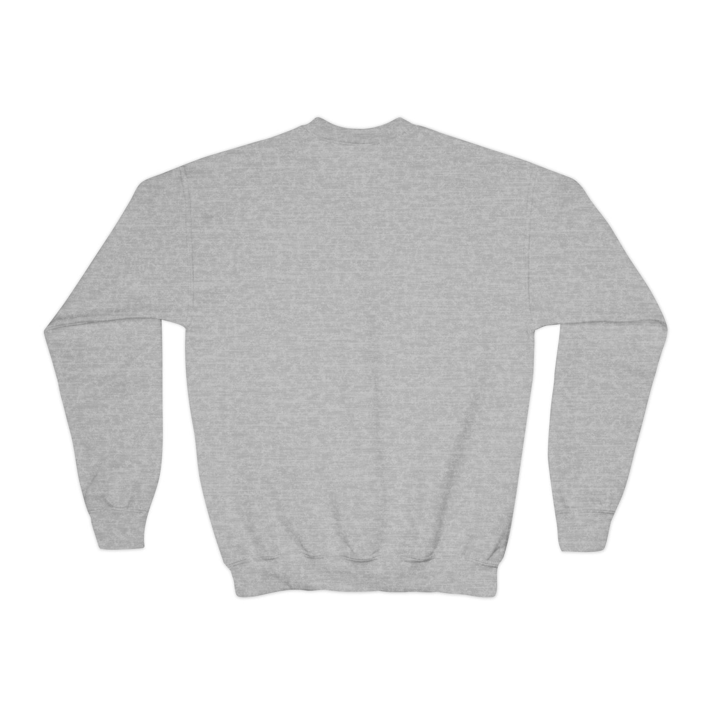 Dinosaurs & Monster Trucks Are the Coolest Youth Crewneck Sweatshirt