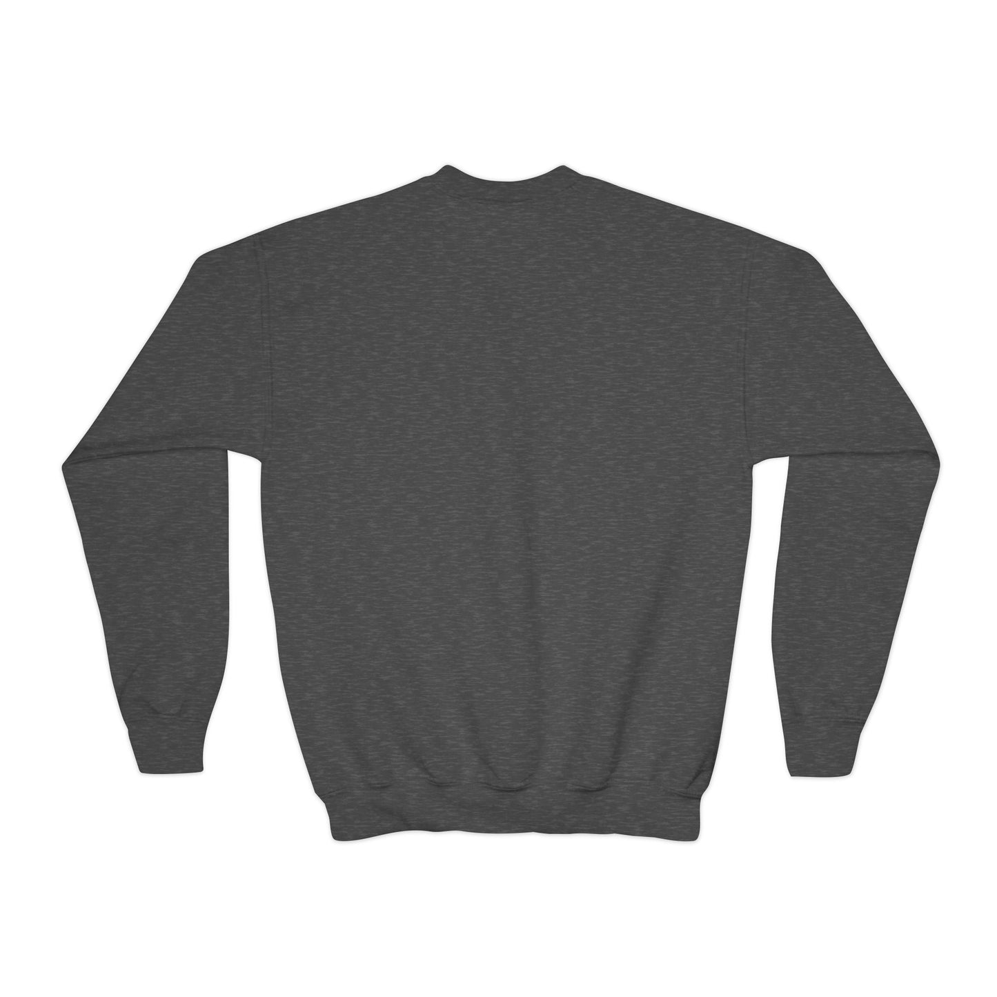 Dinosaurs & Monster Trucks Are the Coolest Youth Crewneck Sweatshirt