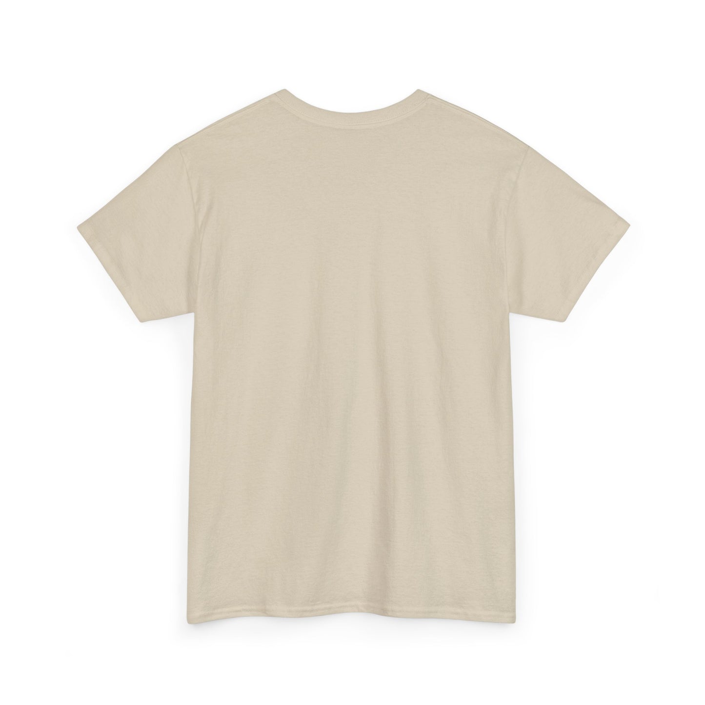 Don't Be A Jerk Unisex Heavy Cotton Tee