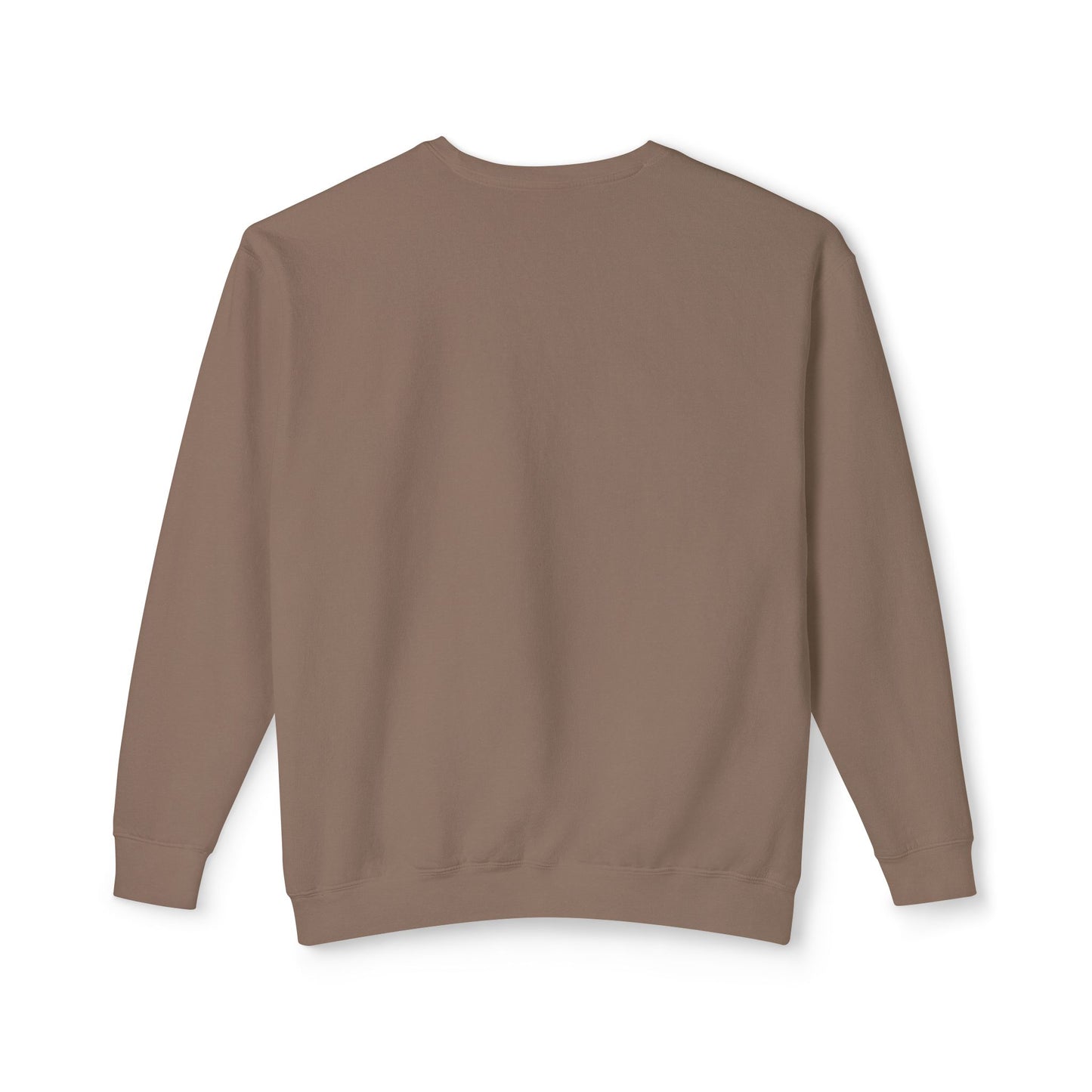 Unisex Sweatshirt features a quote, "Detroit Lions, It's Fun to Win"