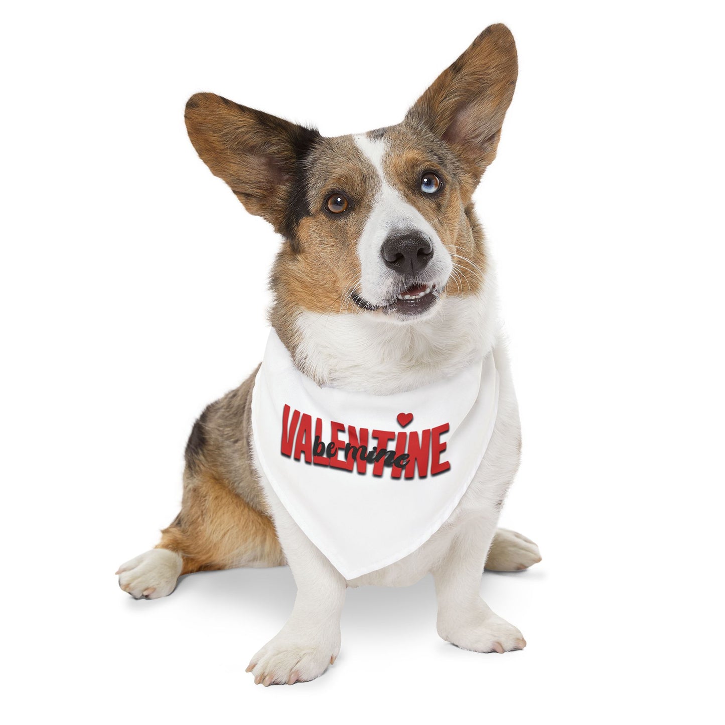 Pet Bandana Collar - Valentine, Be Mine