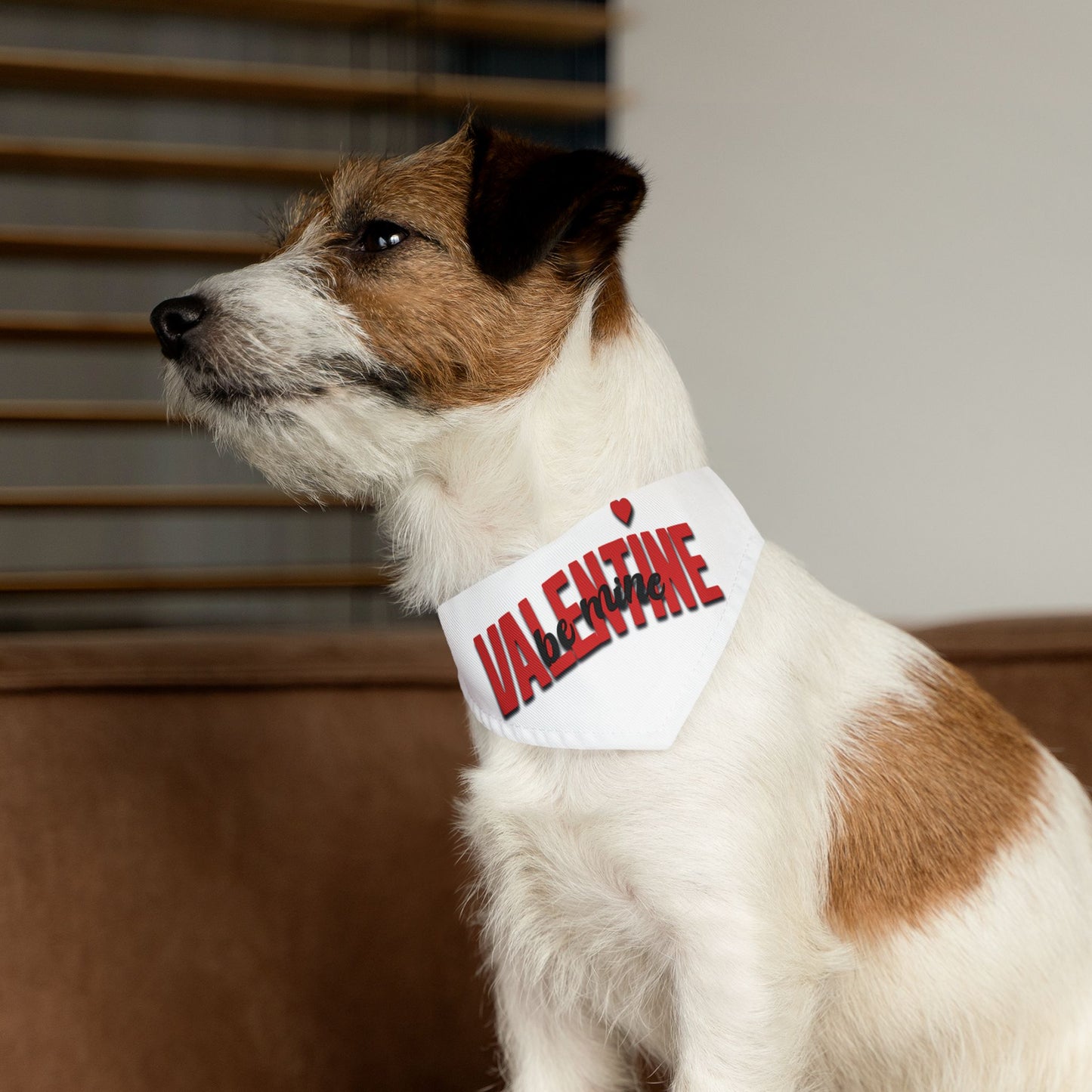 Pet Bandana Collar - Valentine, Be Mine