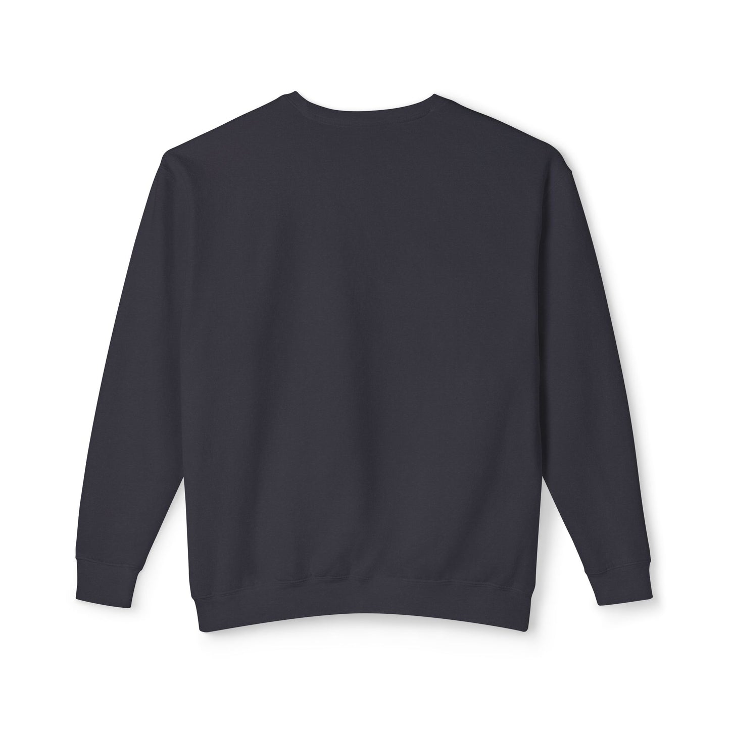 Detroit Lions Lightweight Sweatshirt with Black and White Lion Design