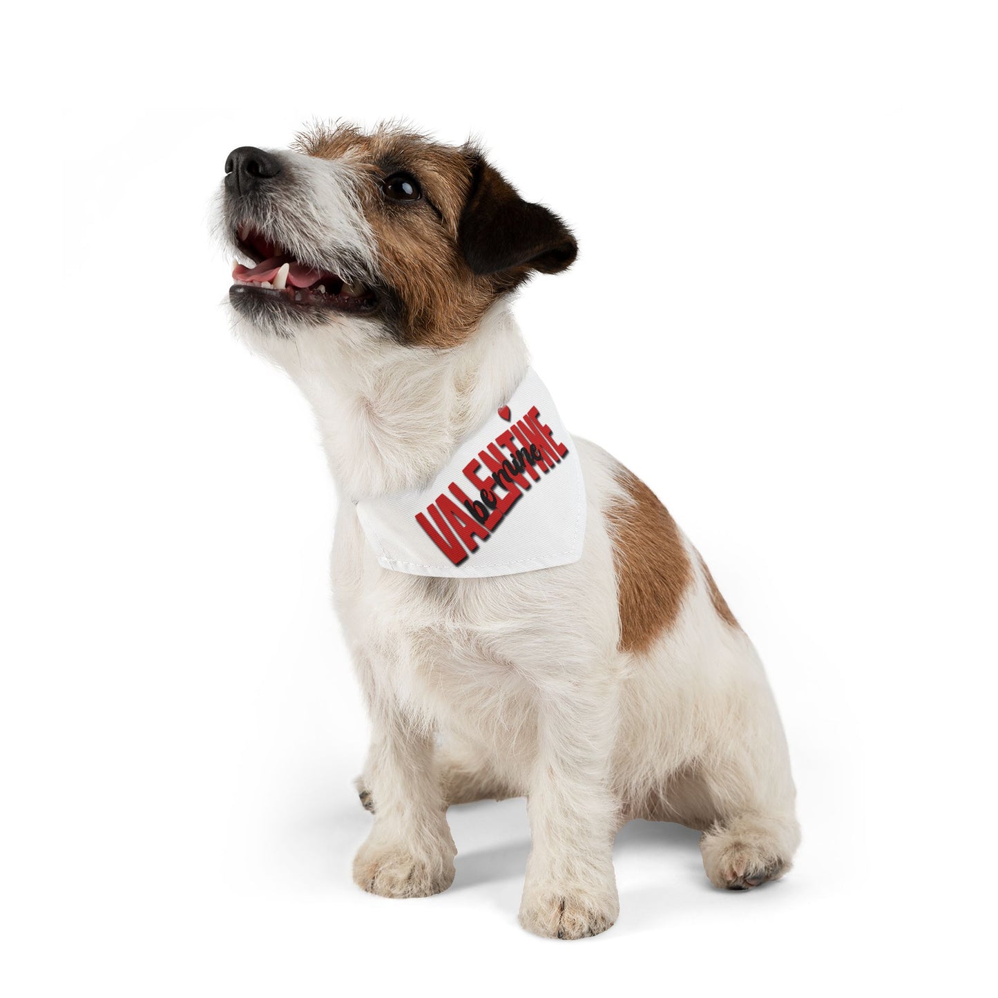 Pet Bandana Collar - Valentine, Be Mine